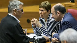 El Constitucional tumba la ley del cuatripartito que pretendía crear juicios paralelos contra la policía