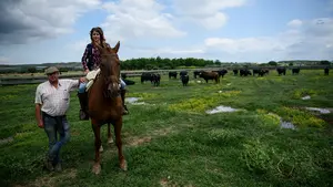 La ganadería Pincha de Lodosa hace historia: un hierro navarro vuelve a San Fermín 35 años después 