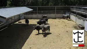 8 de julio: José Escolar, no olvides mirar atrás