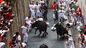 Dos toros rezagados siembran el peligro en el recorrido del encierro. Su carrera por Pamplona, en fotos