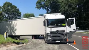 Bloquea un camión en el puerto de Belate y la policía descubre que conduce con cocaína