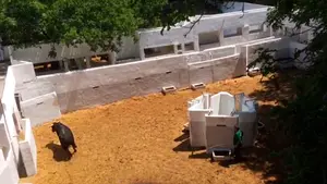 Jotas, ambiente y toros: as&iacute; se ha vivido el multitudinario apartado del 7 de julio