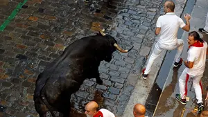 Escolar y el antideslizante no cornean