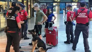 Empezar los Sanfermines con 600€ menos: sorprendidos 30 pasajeros con droga en la estación de autobuses