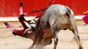 Angustiosos momentos en la plaza de Pamplona: as&iacute; se ha vivido la grave cogida de Casta&ntilde;o