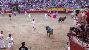 'Multazo' para un corredor irlandés por citar y desviar a un toro antes de entrar a corrales