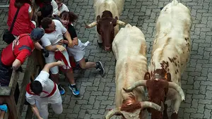 Un encierro de cabestros resta protagonismo a los astados de Fuente Ymbro en Pamplona