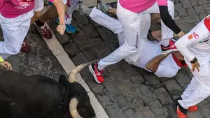 'El toro que susurraba a los mozos': uno de los trasladados presenta una herida por asta en la oreja