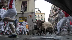 Un encierro en marzo: Pamplona instalará el vallado de San Fermín para rodar una película con toros