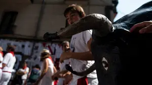 Futuros mozos: cientos de niños corren el encierro txiki por la cuesta de Santo Domingo