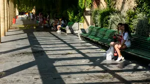 El alcalde de Tudela valora la concienciaci&oacute;n ante las agresiones: "Hace 5 a&ntilde;os no hubiera habido denuncia"