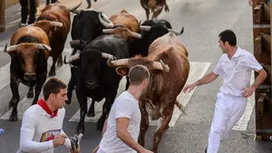 Vibrantes carreras de los mozos frente a los toros de Guadalest en el cuarto encierro de las fiestas de Tudela