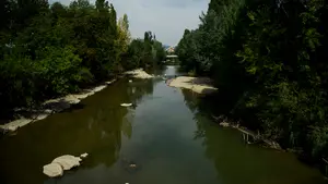 El río Arga, en 'horas bajas': alarma ante el mal estado de sus aguas a su paso por la Rochapea