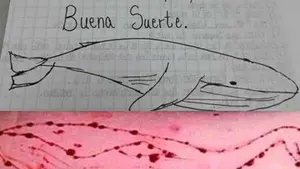Una menor denuncia una violación grupal en La Rioja tras participar en el juego de "La ballena azul"