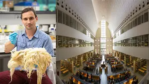 Un investigador de la UPNA idea un método para generar plástico biodegradable a partir de residuos de lana