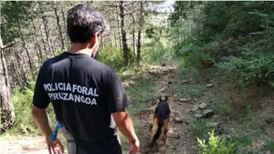 Hallado muerto en Izco un peregrino brasileño al que se buscaba desde este domingo 