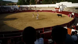 El nuevo alcalde de Estella desmonta el cagadero de perros habilitado por Bildu en la plaza de toros