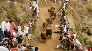 Primer encierro velocísimo del Pilón en Falces, que se salda sin heridos de gravedad