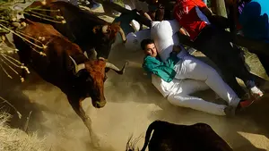 Las vacas 'barren' el Pil&oacute;n: trepidante y r&aacute;pido segundo encierro en Falces con varias ca&iacute;das de mozos