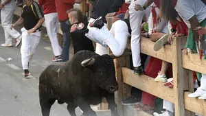 Con los pitones en los tobillos: peligroso y rápido primer encierro de las fiestas de Tafalla