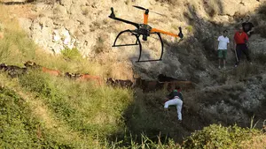 Un dron evitará la muerte de la fauna en los campos sembrados de Navarra antes de las tareas de siega
