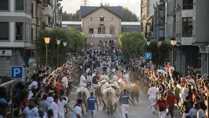 'Toros a una y en manada': Tafalla vive un tercer encierro sin sorpresas ni heridos