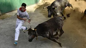 Por los pelos: así ha evitado un joven ser embestido por una vaca en el Pilón de Falces