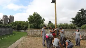 Pamplona contará con 300 cajas-nido y refugios para 'acoger' a la elegida como nueva "ave del año"