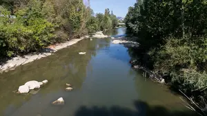 Contra la reparación de la presa de Santa Engracia: surge una asociación que busca promover el cuidado del Arga