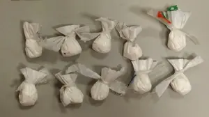 Los perros les delataron: tres personas detenidas por tráfico de drogas en fiestas de Tafalla