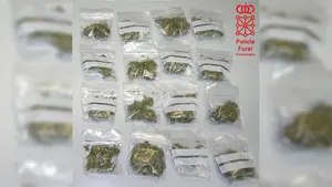 Detenido un menor de 15 años en Tudela por tráfico de drogas: portaba 16 bolsitas con marihuana para su venta