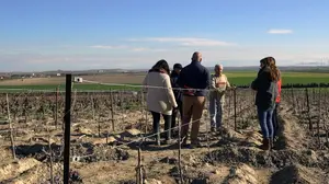 Vinos de película: un documental navarro sobre viñedos viejos es premiado en un festival de cine en Francia