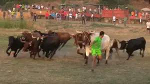 La traída de vacas de Cintruénigo se dispara hasta las 3 horas y deja un reguero de 18 atendidos
