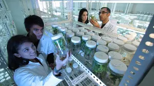 Un nuevo modelo de Bachiller llega a Navarra: comienza el primer itinerario centrado en investigación