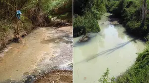 Una asociación de La Rioja acusa a Barkos de ocultar la verdad sobre un río navarro: "Está muy contaminado"