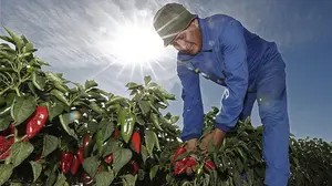 Piden apostar por el producto local de Navarra para poder salir de la "crisis económica actual"