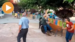 Tensión al máximo: un toro ensogado se sale del recorrido, entra a un parque infantil y derriba a un anciano