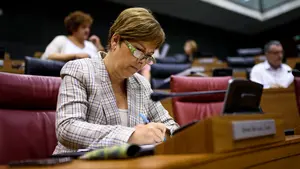 El cuatripartito aprueba una ley de inversiones sin contar con la autorización del Ministerio de Hacienda