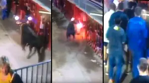 Fallece tras ser corneado por un toro embolado: así ha sido la dramática secuencia