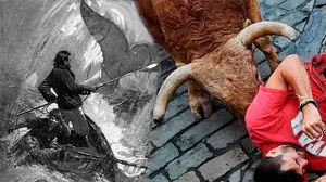 La referencia a San Fermín que escondía 'Moby Dick' y que un lector navarro ha sacado a la luz