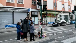 Críticas a Asirón y Geroa Bai por los atropellos: "Tienen la osadía de decir que son muertes inevitables"