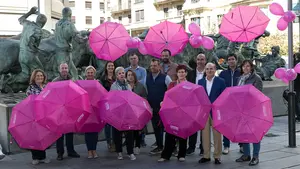 Los comercios de Pamplona se tiñen de rosa para 'dar la cara' contra el cáncer de mama