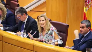 Beltrán califica Navarra como "tierra inhóspita para constitucionalistas" y dice sufrir "hostigamiento"