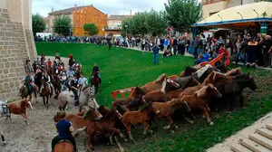 Marcilla se llenar&aacute; de caballos, calderos y m&uacute;sica para celebrar sus centenarias ferias de ganado