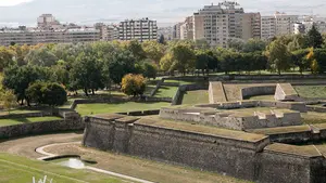 Pamplona plantará más árboles para mitigar el cambio climático y mejorar la salud de sus vecinos