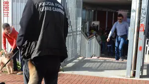 Con la droga en el bolsillo: detienen a un menor de 17 a&ntilde;os que pasaba hach&iacute;s en un centro escolar navarro