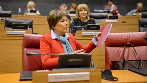 Confían en que el Gobierno del cuatripartito "rectifique" y devuelva el IRPF por maternidad