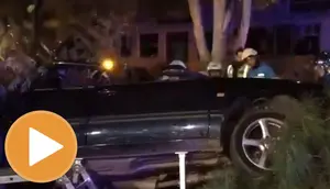 Sepultados por las ramas: un muerto y un herido grave al estrellar su coche contra un árbol