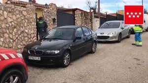 Mueren una madre y su hija atacadas por sus perros: los animales son de la raza dogo de burdeos