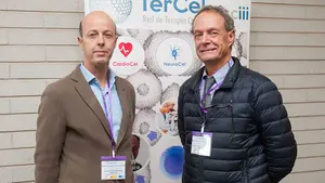 La aplicación clínica de la terapia celular, cada vez más próxima: 200 especialistas se reúnen en Pamplona
